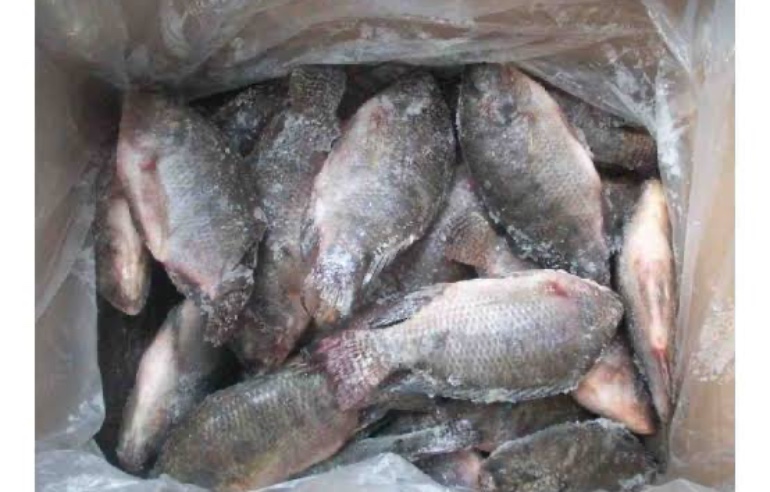 Poisson frais d’Abidjan